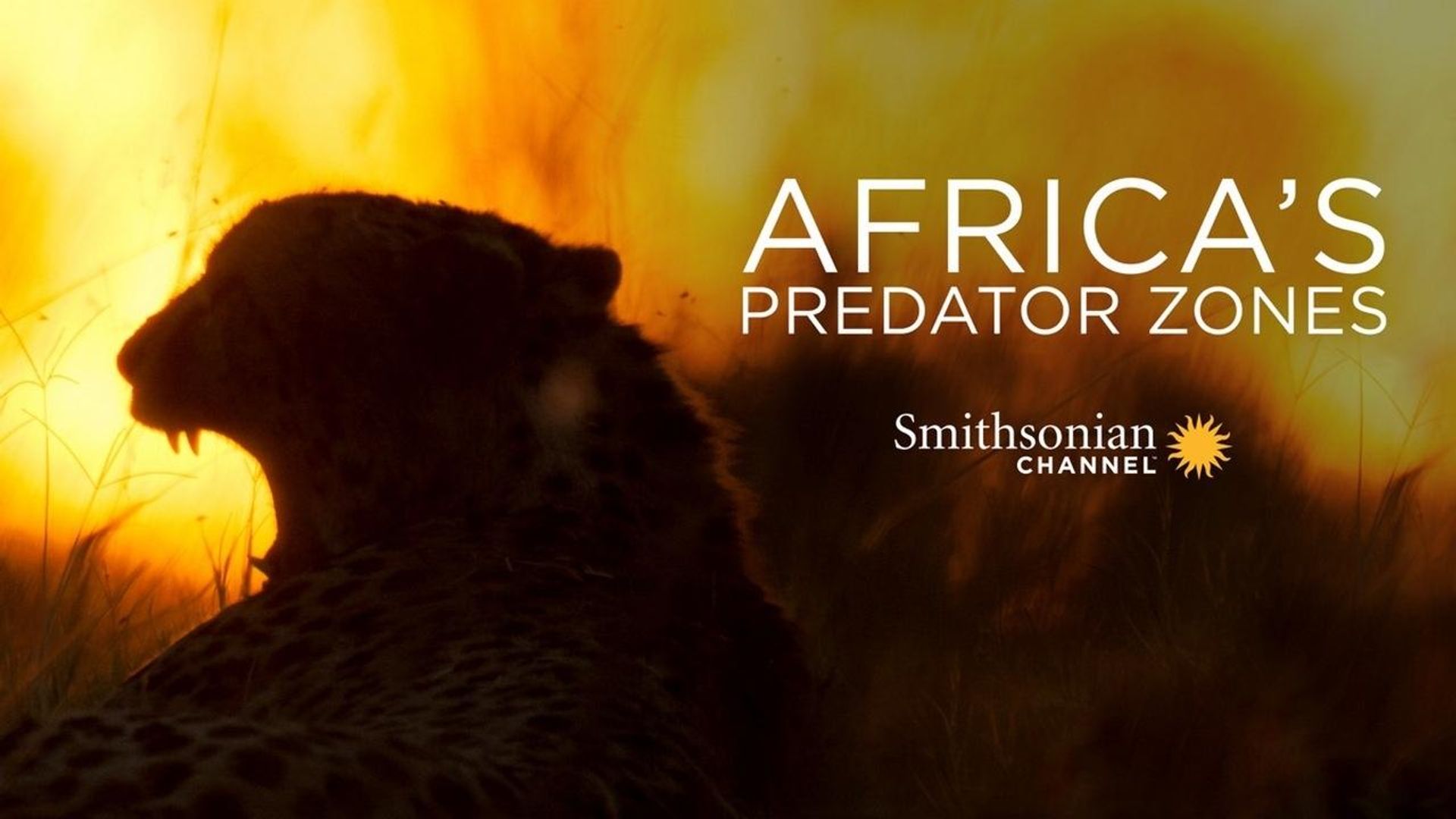 Africa's Predator Zones background