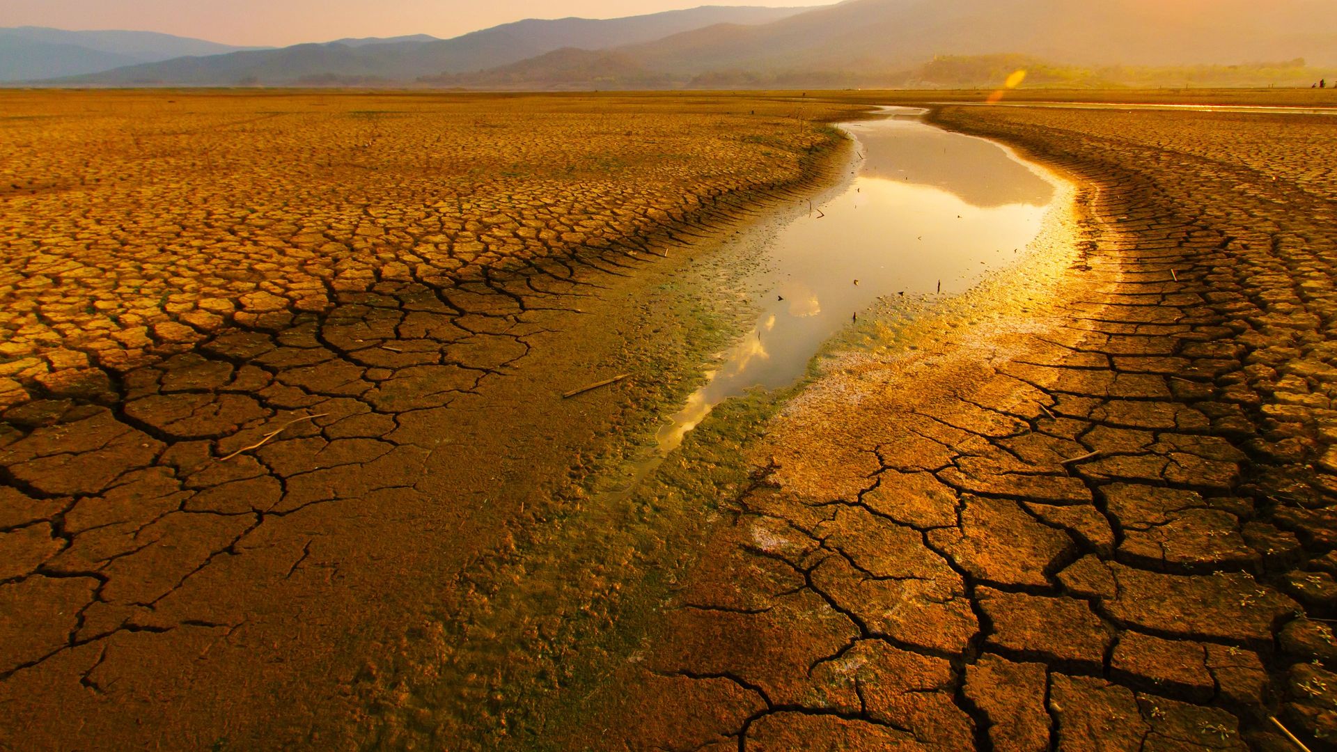 Parched background