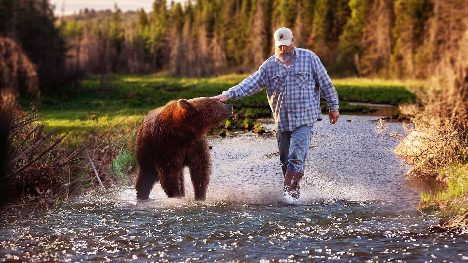 Project Grizzly background
