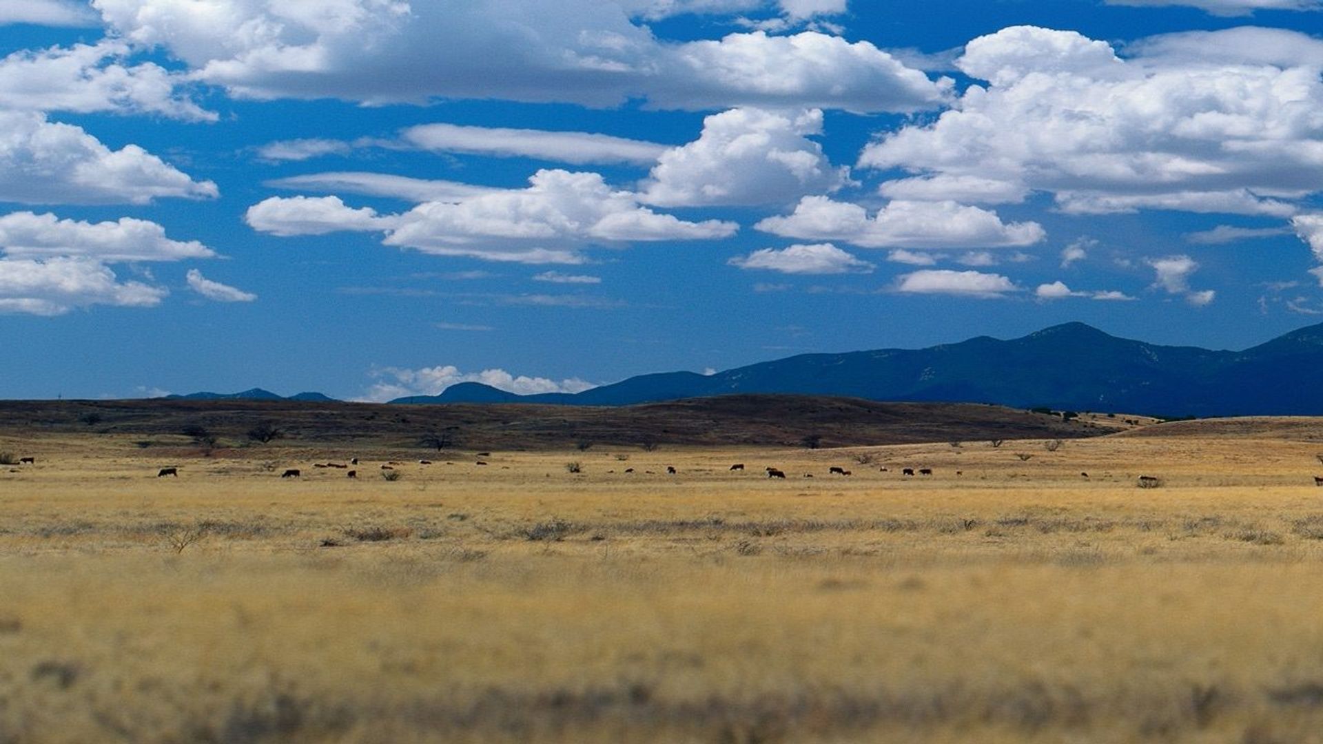 Building Off the Grid: Big Sky Ranch background