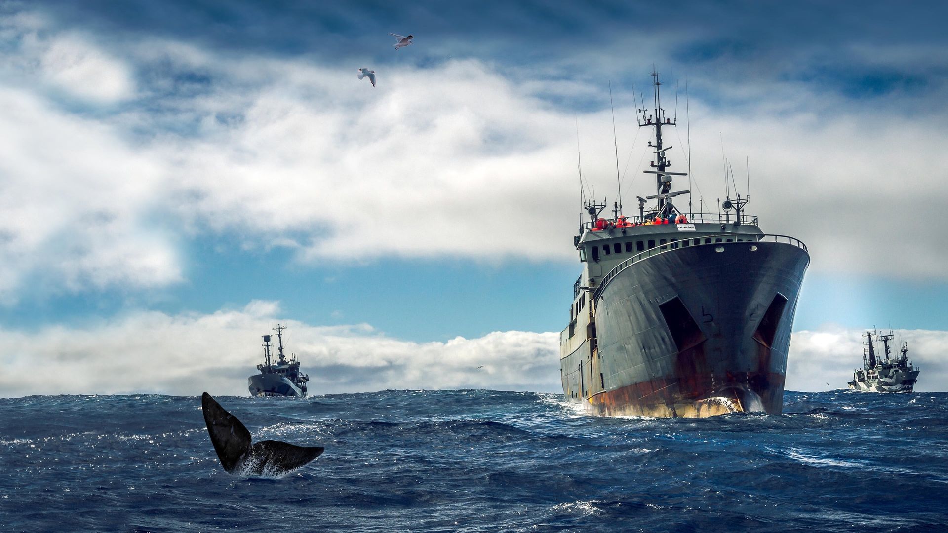 Ocean Warriors background