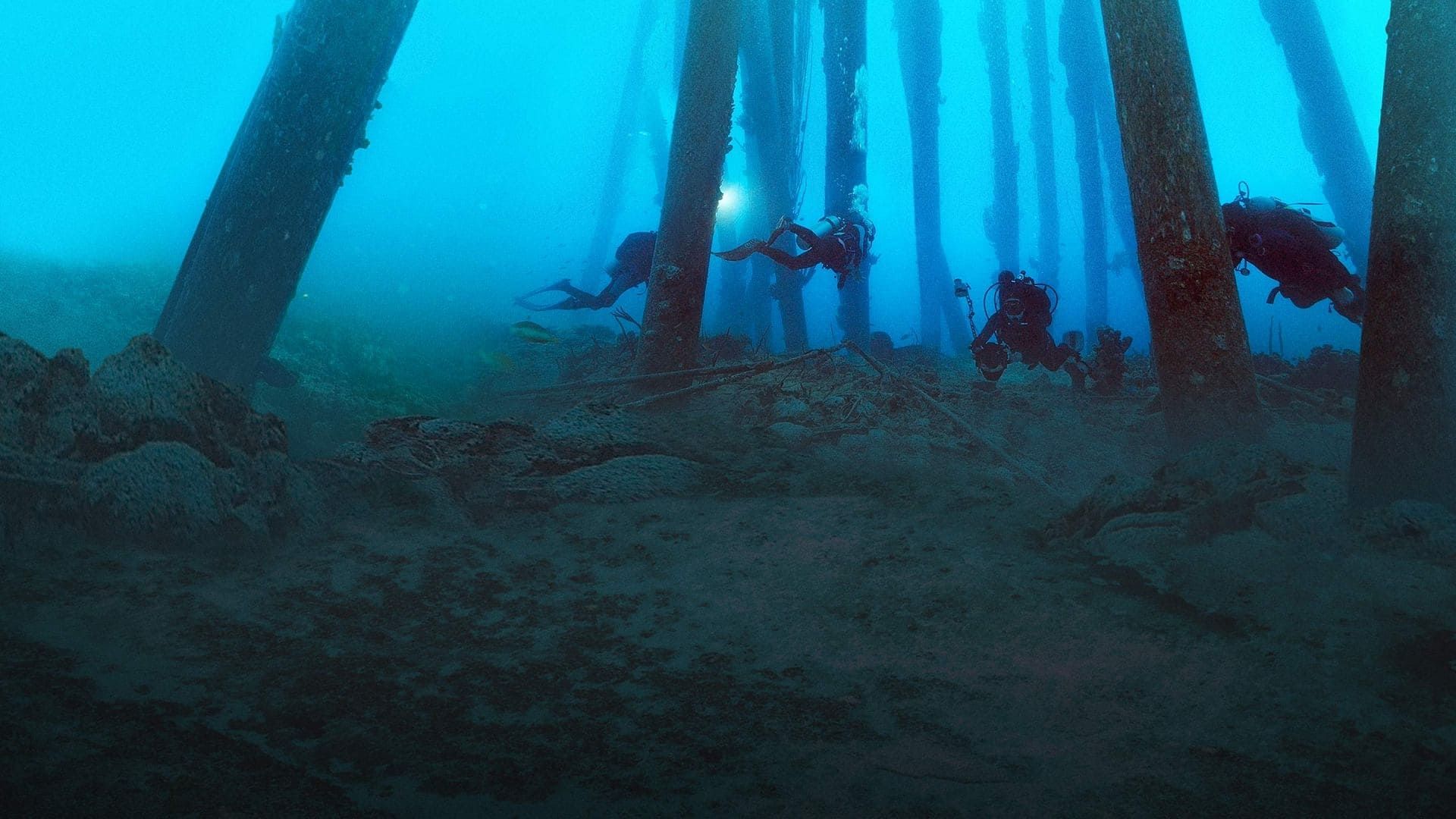 Reef Wrecks background