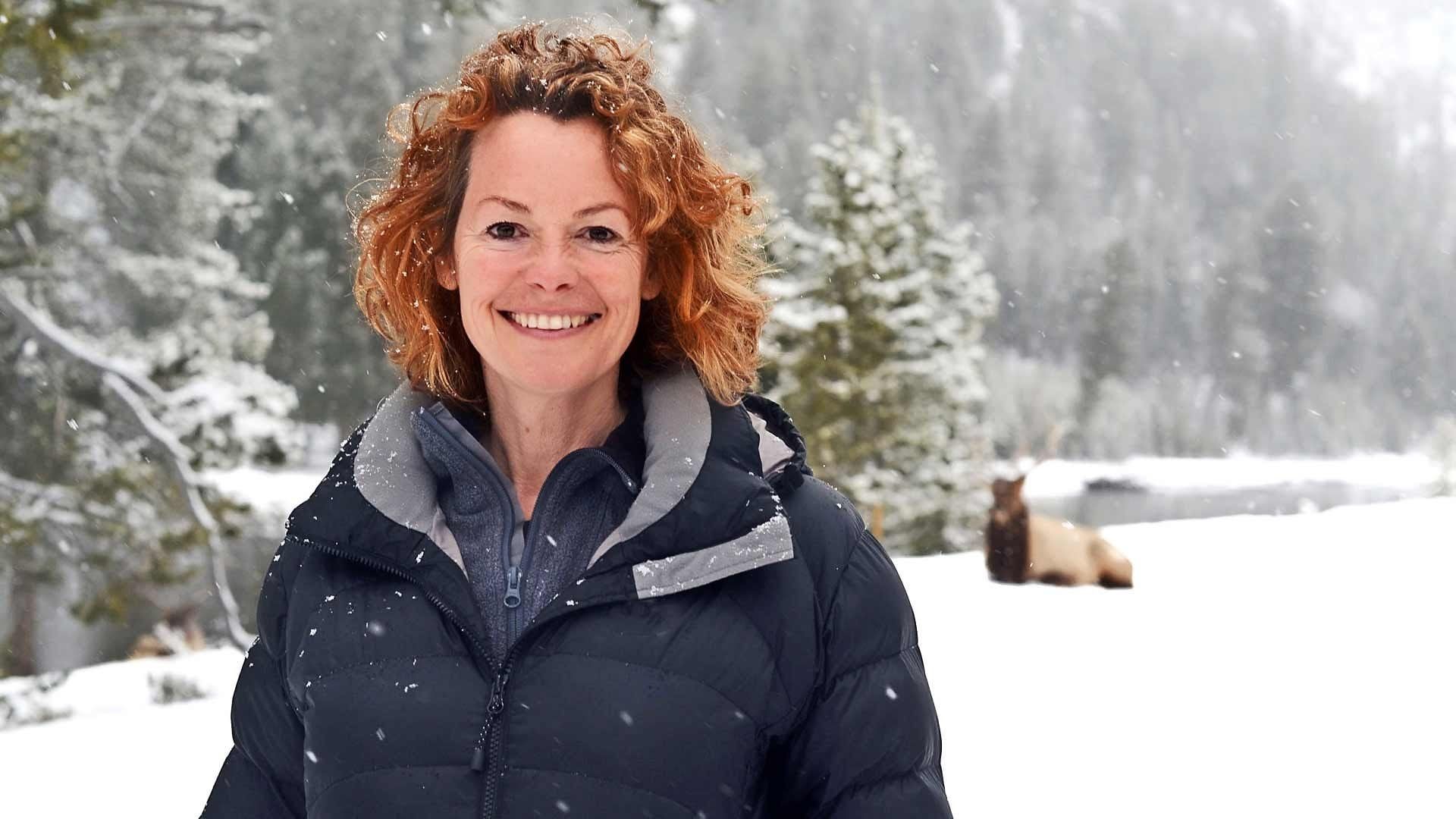 Yellowstone: Wildest Winter to Blazing Summer background