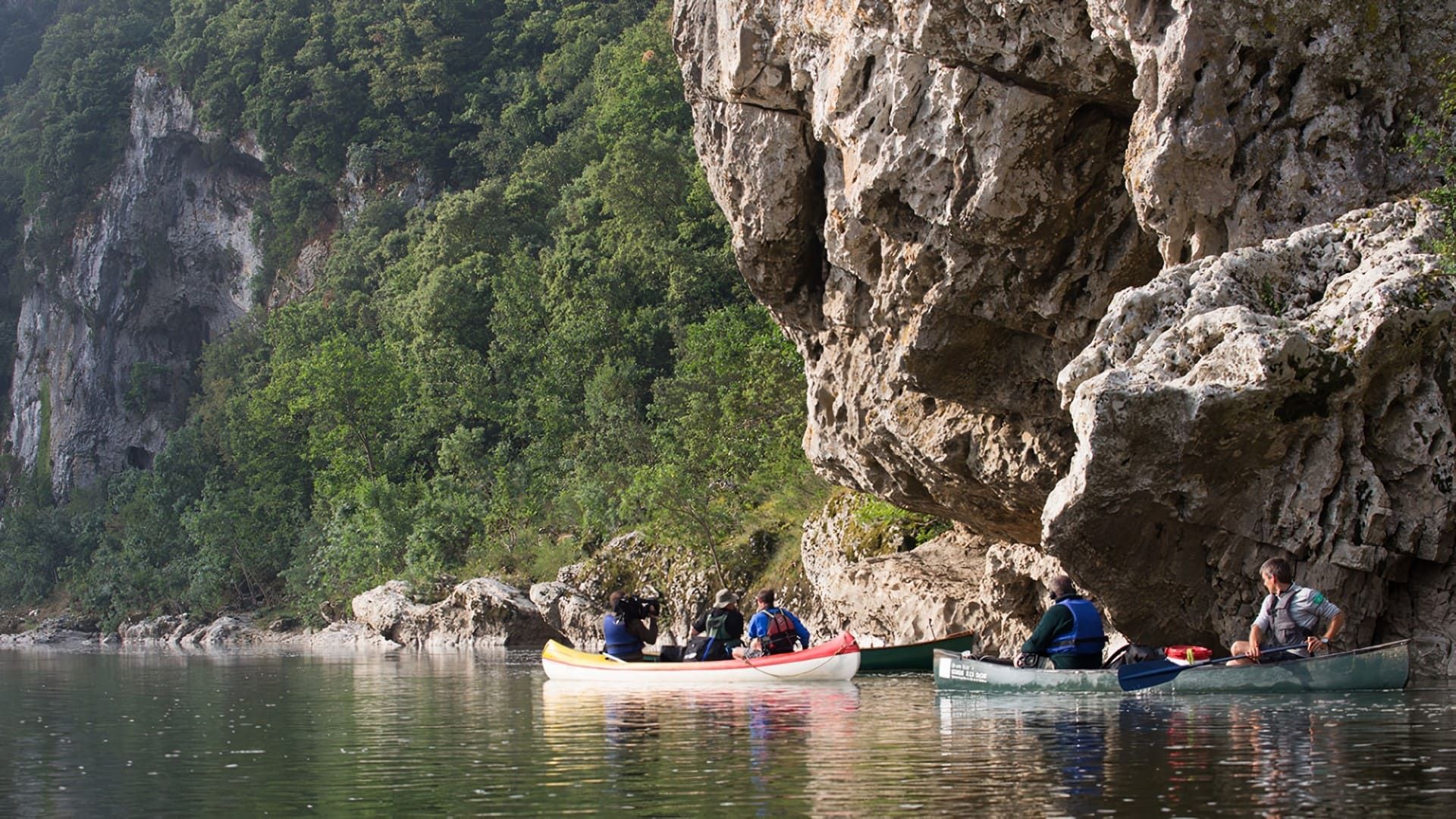 Wild France with Ray Mears background