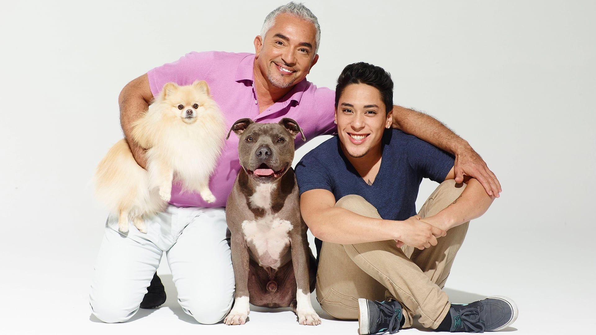 Cesar Millan's Dog Nation background