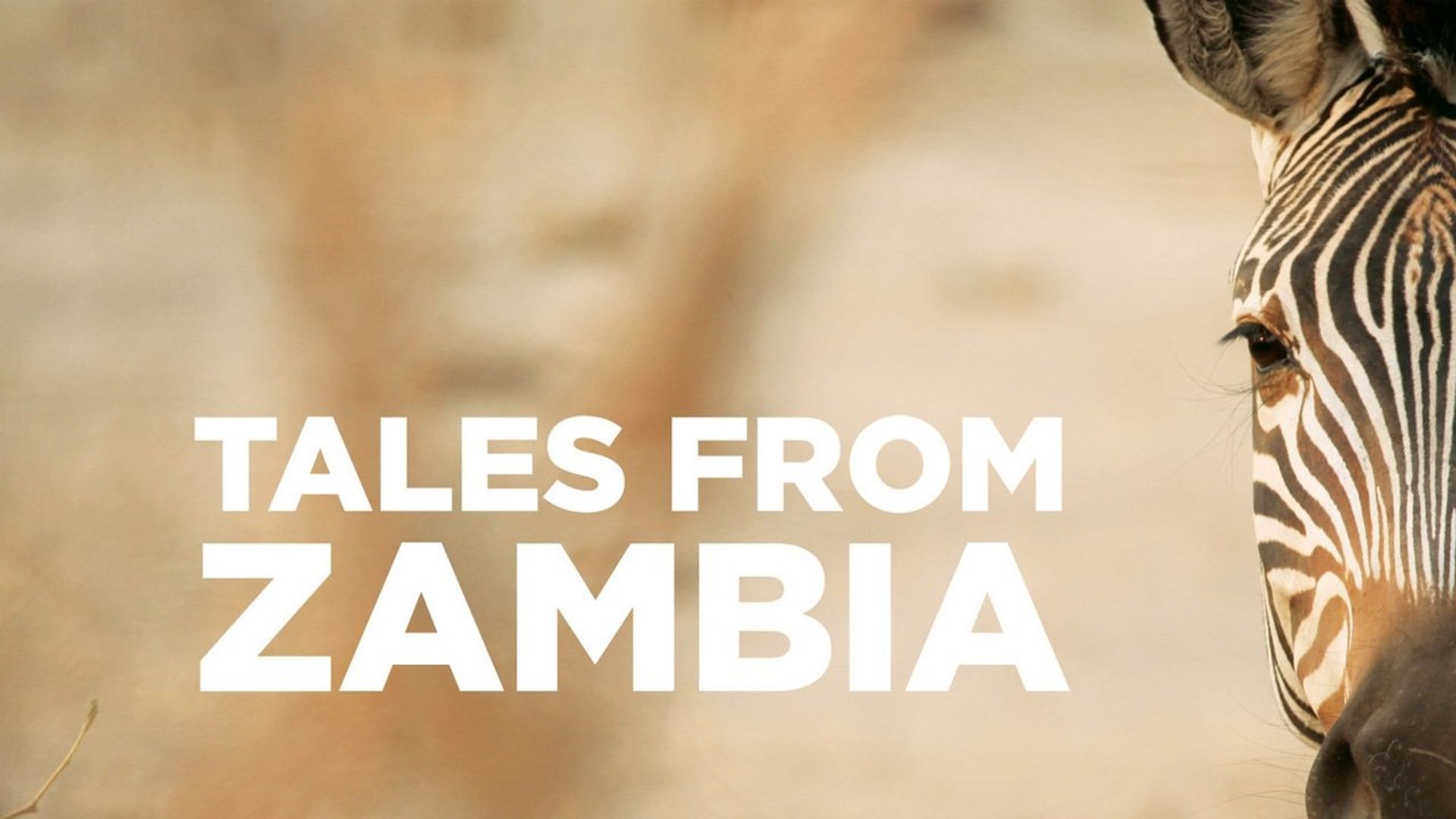 Tales from Zambia background
