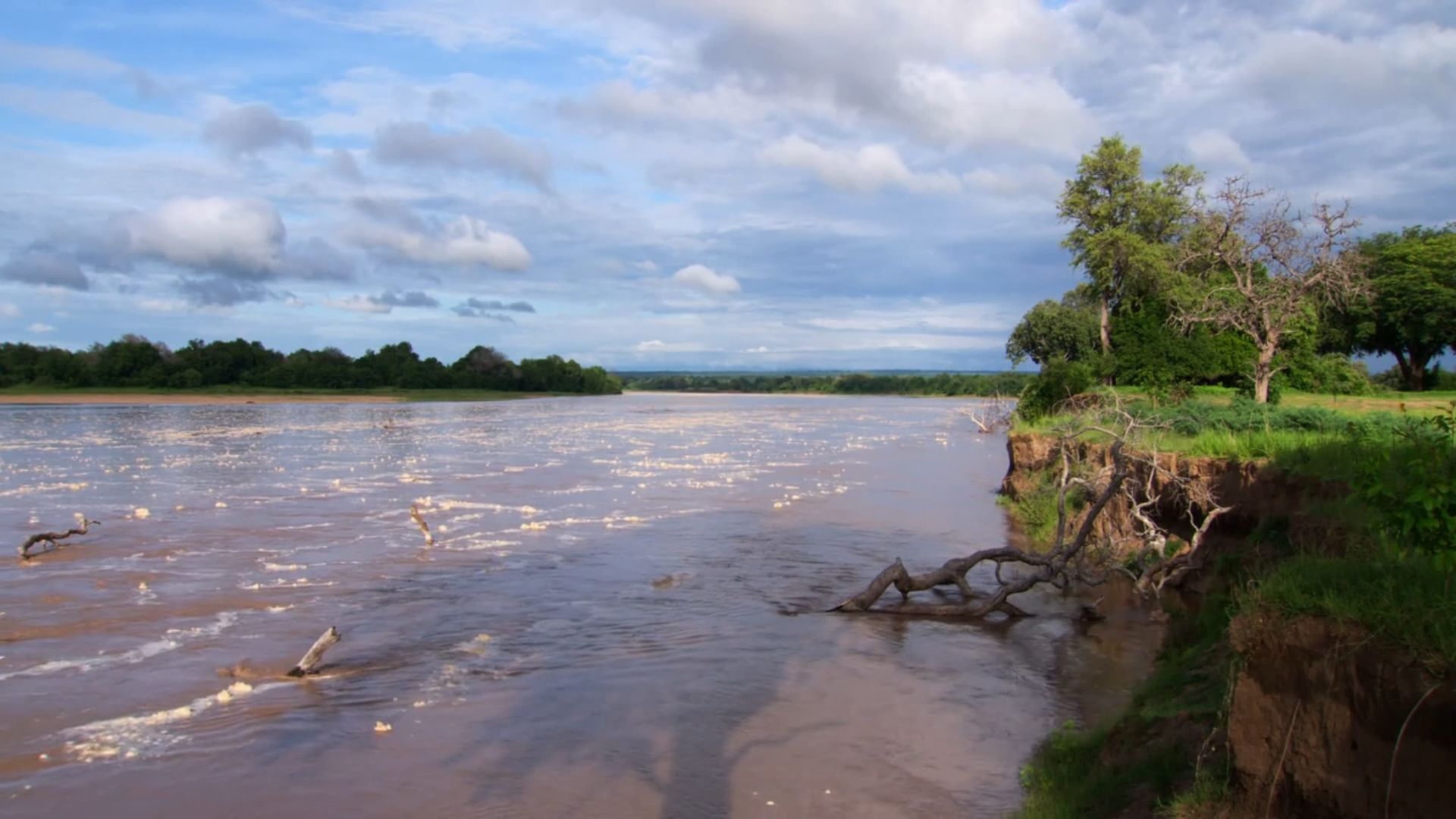 African River Wild background