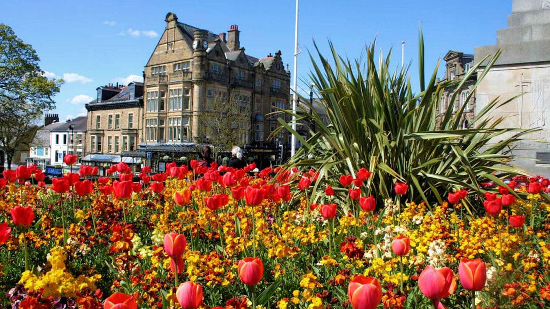 Britain in Bloom background
