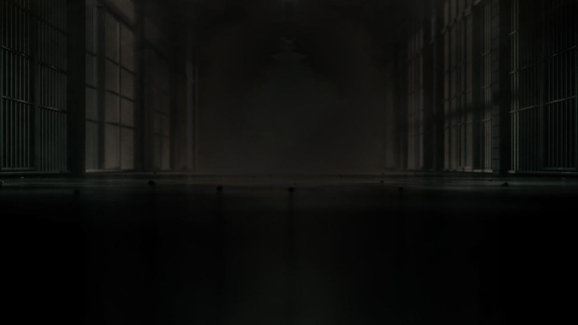 The Last Defense background