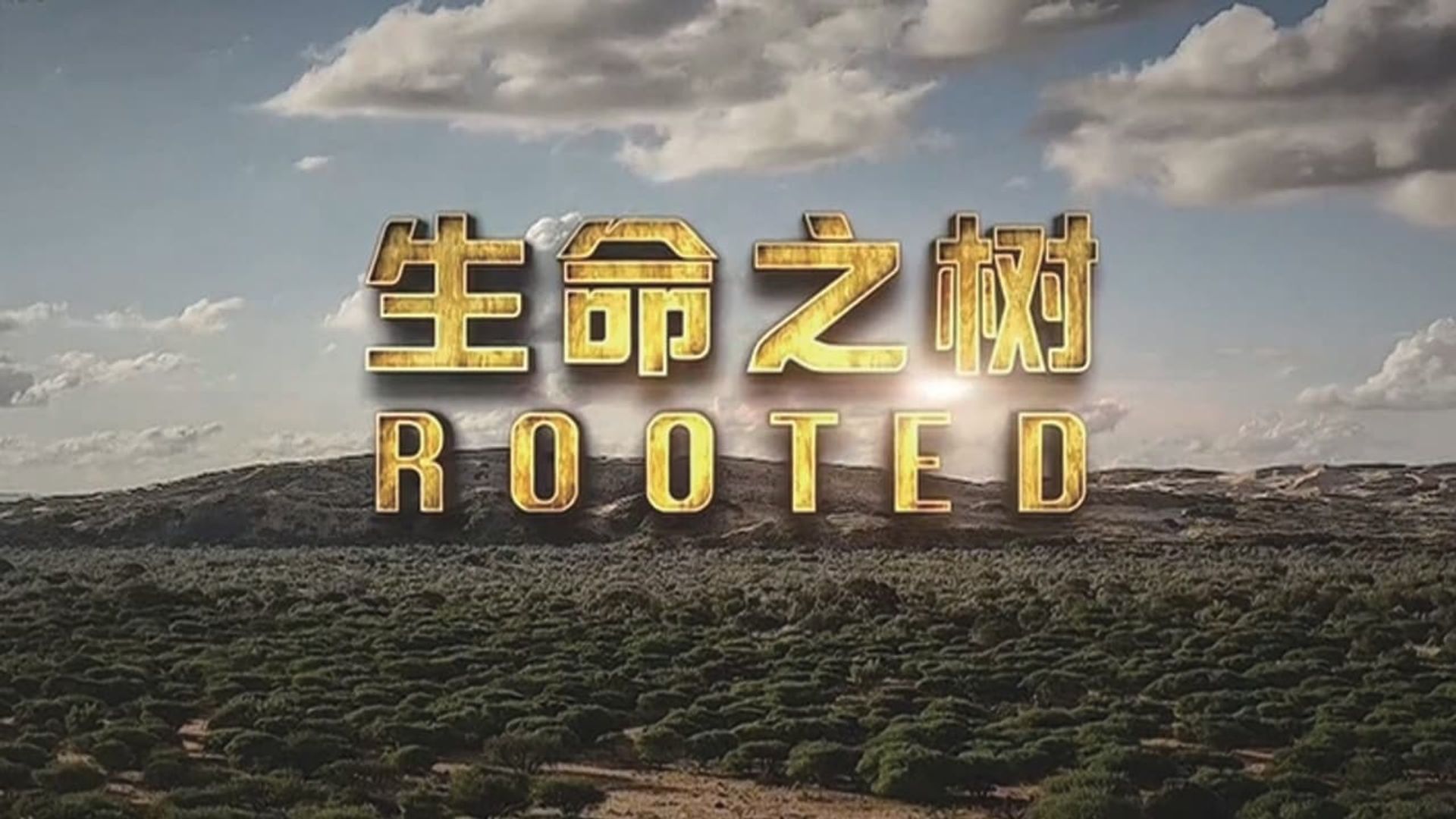 Rooted background