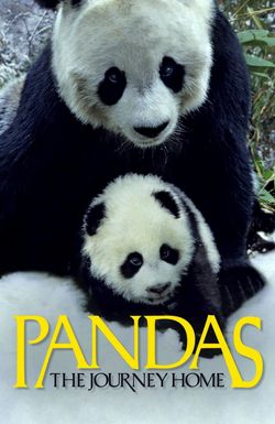 Pandas: The Journey Home