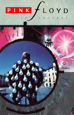 Pink Floyd: Delicate Sound of Thunder