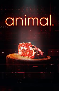 animal.
