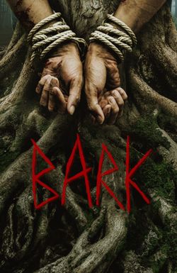 Bark