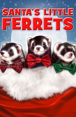 Santa's Little Ferrets
