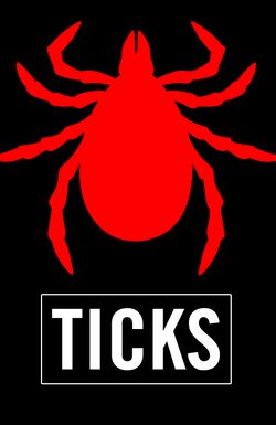 Ticks
