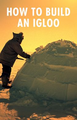 How to Build an Igloo