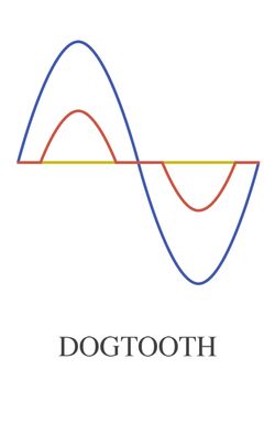 Dogtooth