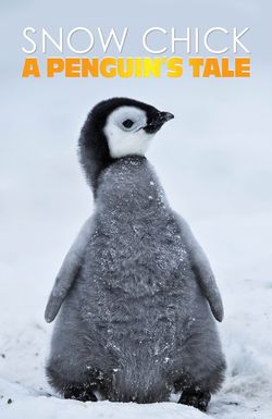 Snow Chick: A Penguin's Tale