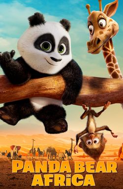 Panda Bear in Africa