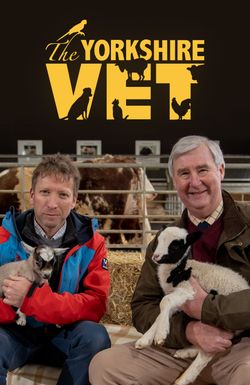 The Yorkshire Vet