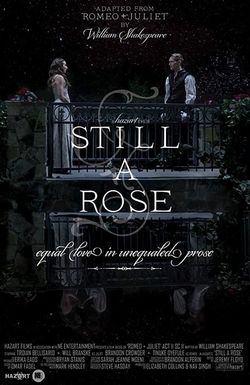 Still a Rose