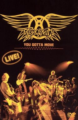 Aerosmith: You Gotta Move