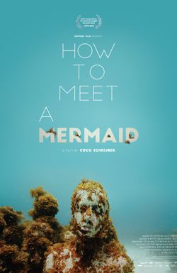 How to Meet a Mermaid