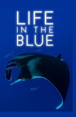 Life in the Blue