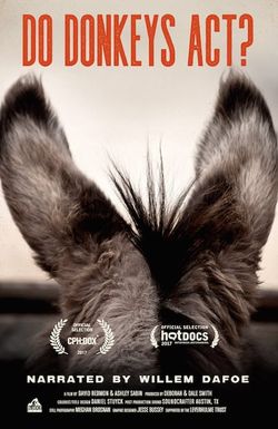Do Donkeys Act?