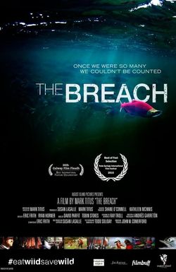 The Breach