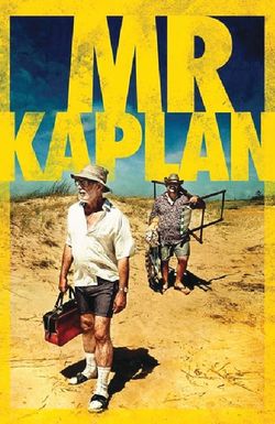 Mr. Kaplan