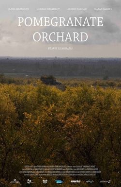 Pomegranate Orchard