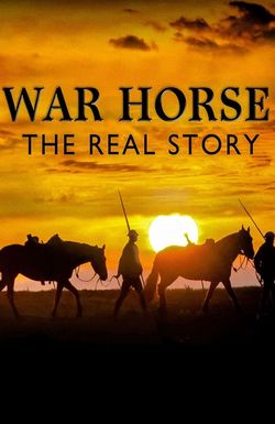 War Horse: The Real Story