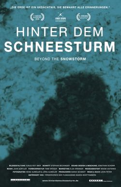Beyond the Snowstorm