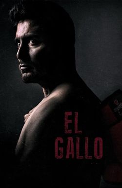 El Gallo
