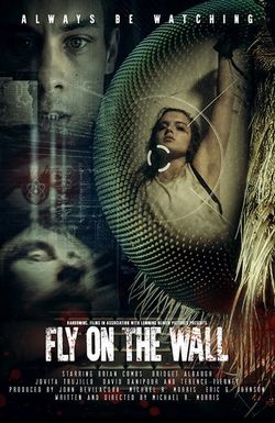 Fly on the Wall