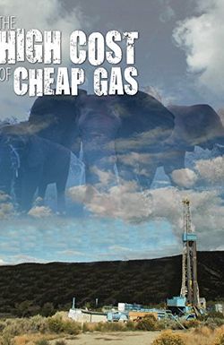 The High Cost of Cheap Gas