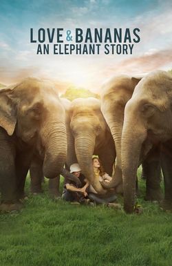 Love & Bananas: An Elephant Story