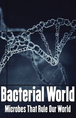 Bacterial World
