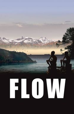 Flow