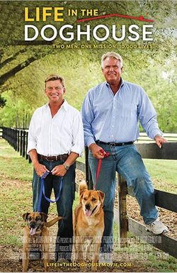 Life in the Doghouse