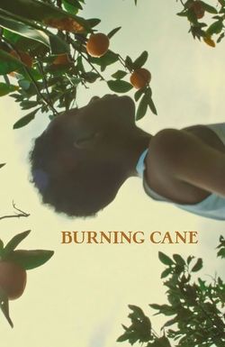 Burning Cane