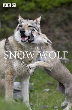 The Snow Wolf: A Winter's Tale