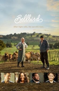 Bellbird