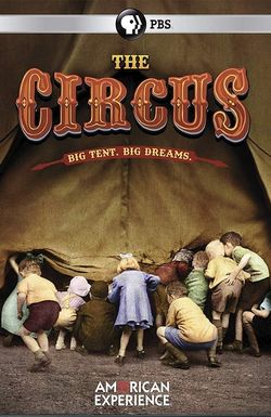 The Circus
