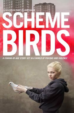 Scheme Birds