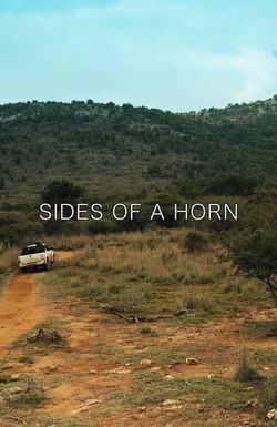 Sides of a Horn