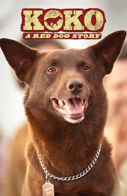 Koko: A Red Dog Story