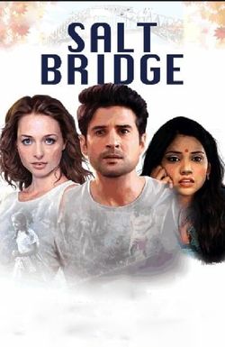 Salt Bridge
